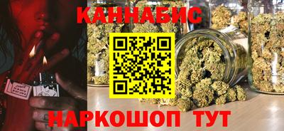 mdpv Гатчина