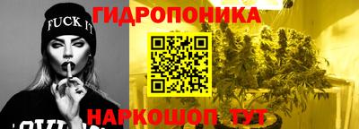 мяу мяу мука Гай