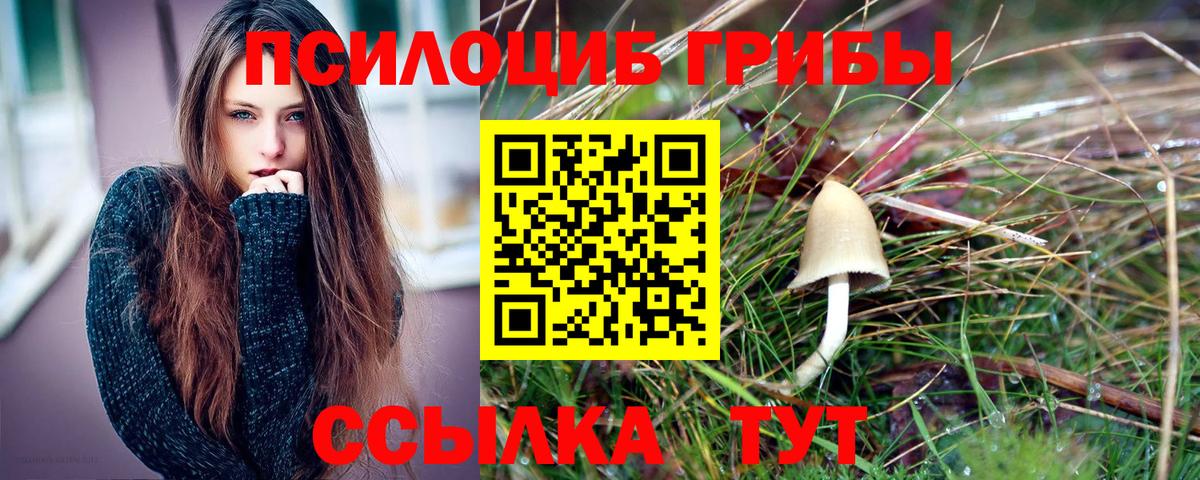Псилоцибиновые грибы мухоморы Набережные Челны