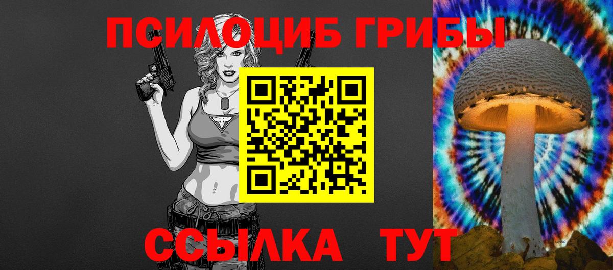 Набережные Челны  Псилоцибиновые грибы MAGIC MUSHROOMS  Вход с VPN 